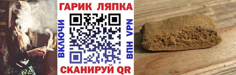 ГАШ Premium  Воронеж 