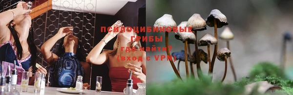 MDMA Premium VHQ Санкт-Петербург