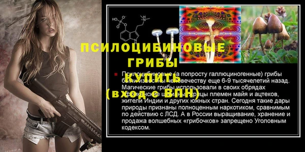MDMA Premium VHQ Санкт-Петербург
