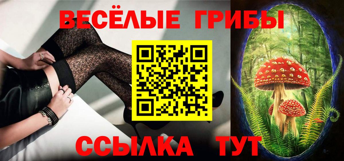 Псилоцибиновые грибы Psilocybe Россия