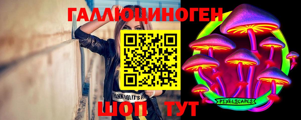 Галлюциногенные грибы Psilocybe  Вход с VPN  Россия 